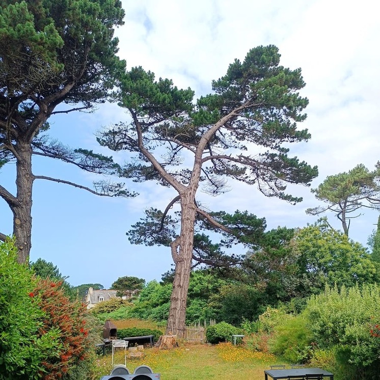 Gîte Carnet de Bord point de vente La P'tite Cordonnerie